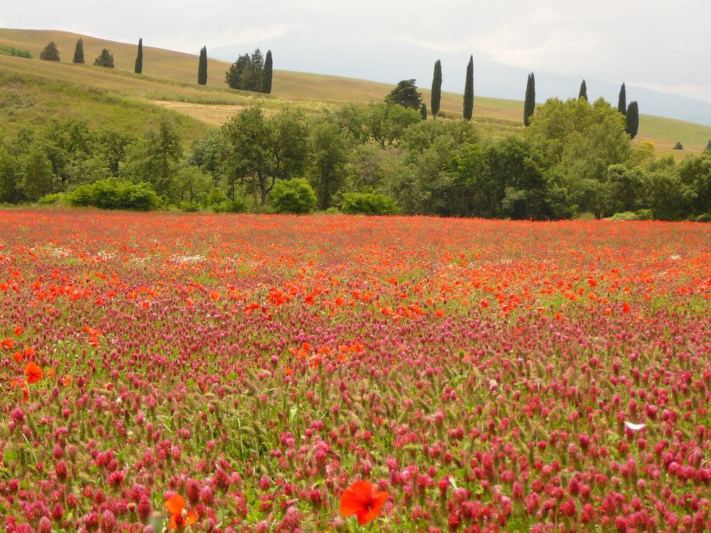 Agriturismo Casalpiano ピエンツァ エクステリア 写真