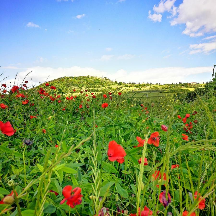 Agriturismo Casalpiano ピエンツァ エクステリア 写真