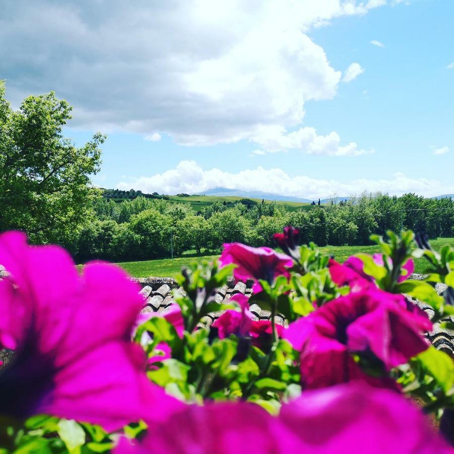 Agriturismo Casalpiano ピエンツァ エクステリア 写真